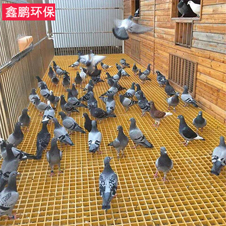 鸽舍地网格栅
